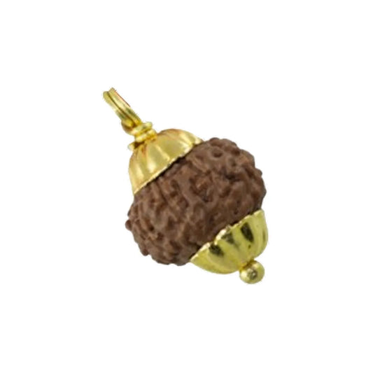 Original 10 Mukhi Rudraksha Java โ Vishnu Divine Protection Bead (Without Cap / Golden Cap / White Cap)