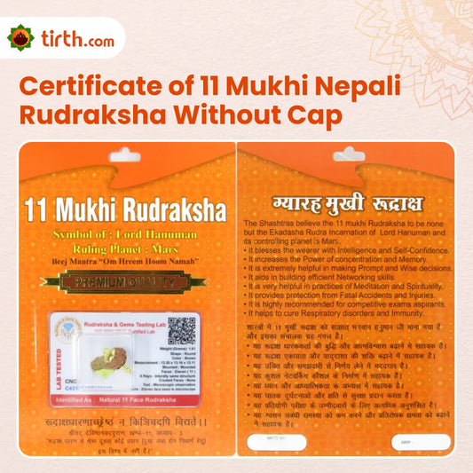 Original 11 Mukhi Rudraksha Nepali Without Cap โ Hanuman Courage & Protection Bead