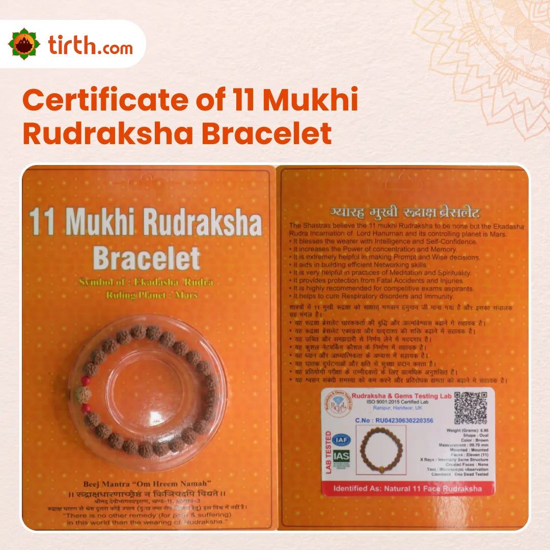 Original 11 Mukhi Rudraksha Bracelet (Java 1 Bead) – Natural 11 Face Rudraksha Wrist Bracelet for Courage, Spiritual Power & Focus