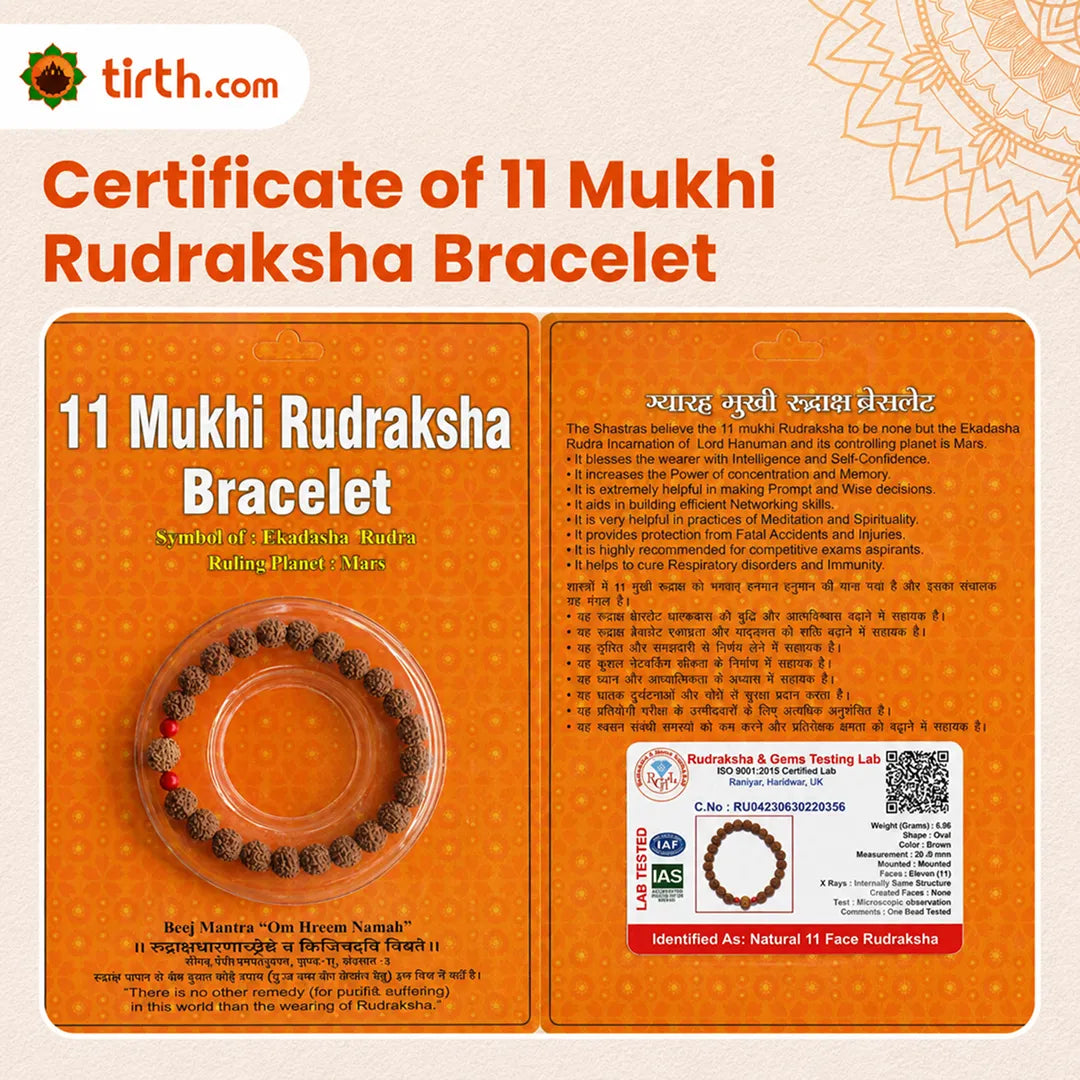 Original 11 Mukhi Rudraksha Bracelet (Java 1 Bead) – Natural 11 Face Rudraksha Wrist Bracelet for Courage, Spiritual Power & Focus