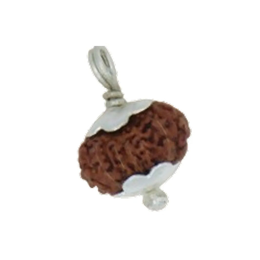 Original 14 Mukhi Rudraksha Java โ Devmani Intuition & Divine Protection Bead (Without Cap / Golden Cap / White Cap)