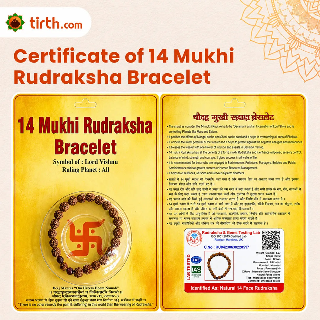 14 Mukhi Rudraksha Bracelet (Java 1 Bead) – Natural 14 Face Rudraksha Wrist Bracelet for Intuition, Protection & Spiritual Awakening