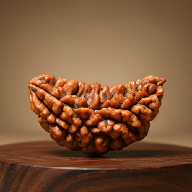 Tirth 1 Mukhi Rudraksha – Divine Ek Mukhi Power Bead for Spiritual Awakening