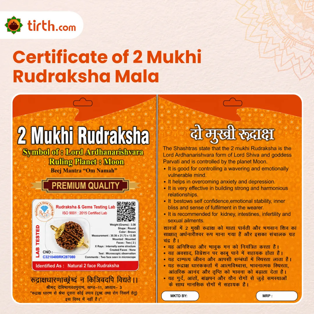 2 Mukhi Rudraksha Mala (Java) – Natural Do Mukhi Rudraksha Mala for Harmony, Relationships & Emotional Balance