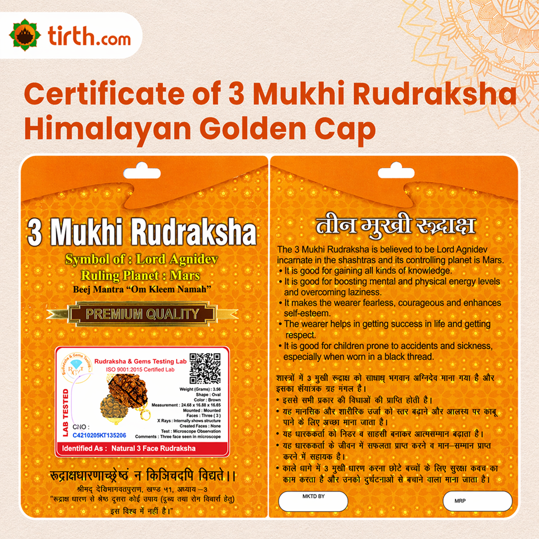 Original 3 Mukhi Rudraksha Himalayan – Agni Shakti Transformation Bead (Without Cap / Golden Cap / White Cap)