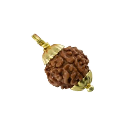 Original 3 Mukhi Rudraksha Nepali โ Agni Shakti Power Bead (Without Cap / Golden Cap / White Cap)