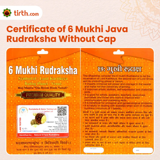 Original 6 Mukhi Rudraksha Java Without Cap โ Kartikeya Discipline & Focus Bead