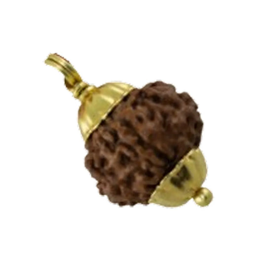 Original 7 Mukhi Rudraksha Nepali โ Mahalakshmi Prosperity & Stability Bead (Without Cap / Golden Cap / White Cap)