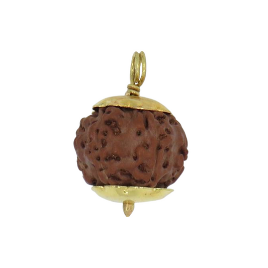Original 8 Mukhi Rudraksha Java โ Vighnaharta Protection Bead (Without Cap / Golden Cap / White Cap)