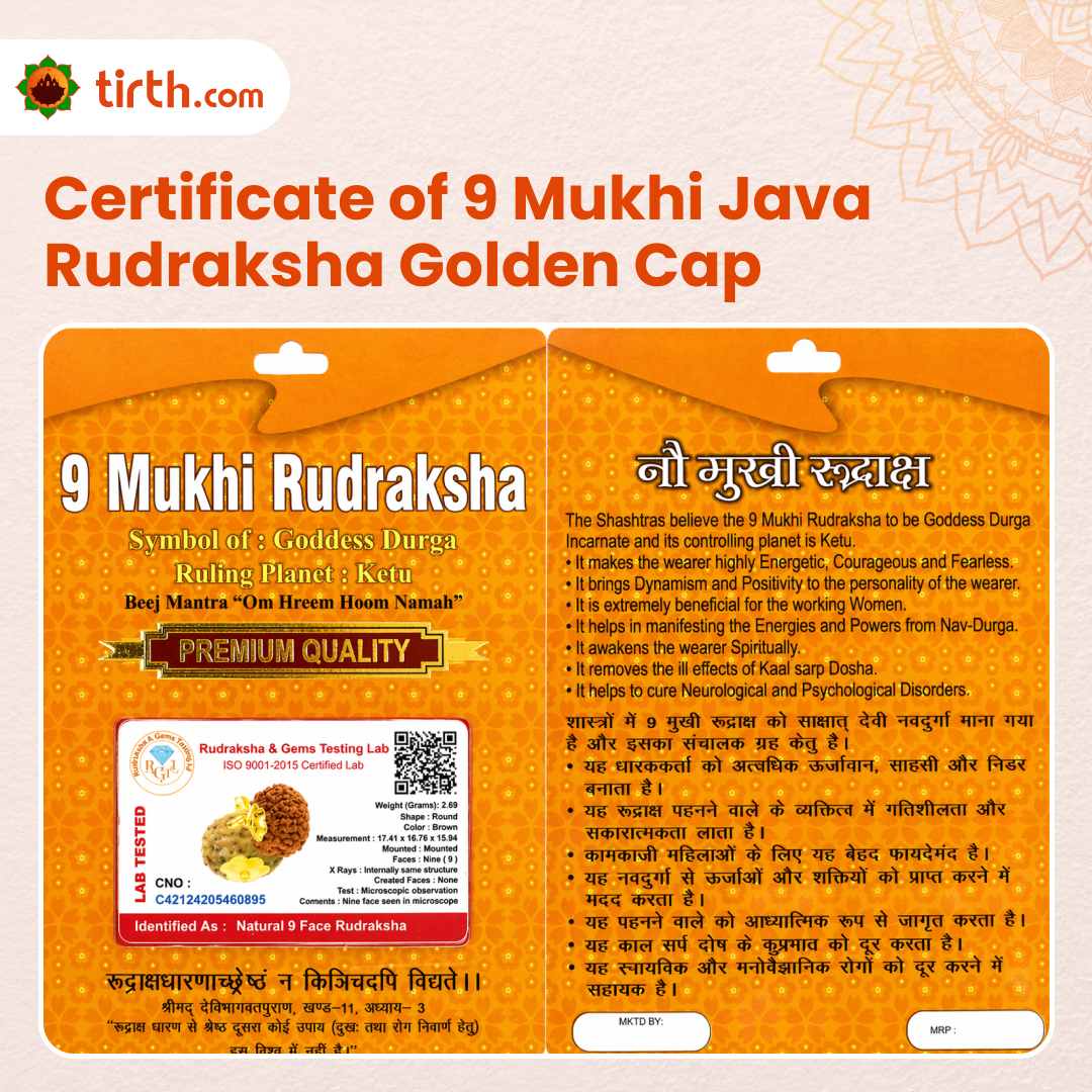 Original 9 Mukhi Rudraksha Java – Navdurga Shakti Energy Bead (Without Cap / Golden Cap / White Cap)