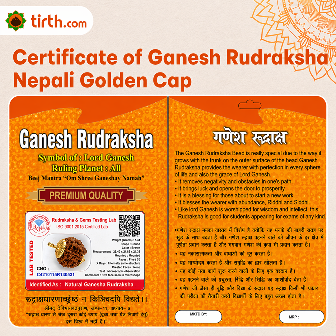 Original Ganesh Rudraksha Nepali – Rare Vighnaharta Bead for Obstacle Removal (Without Cap / Golden Cap / White Cap)
