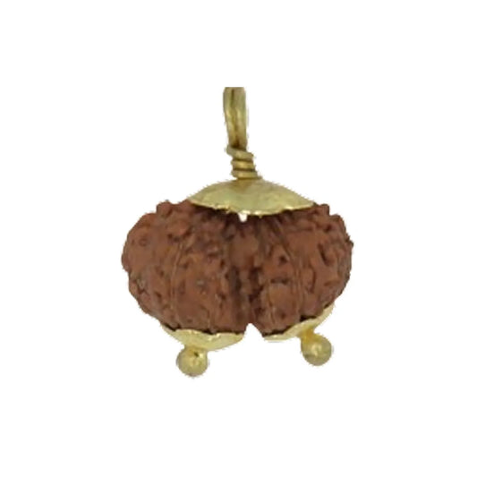 Original Gauri Shankar Rudraksha Java โ Shiv Shakti Divine Union Bead (Without Cap / Golden Cap / White Cap)