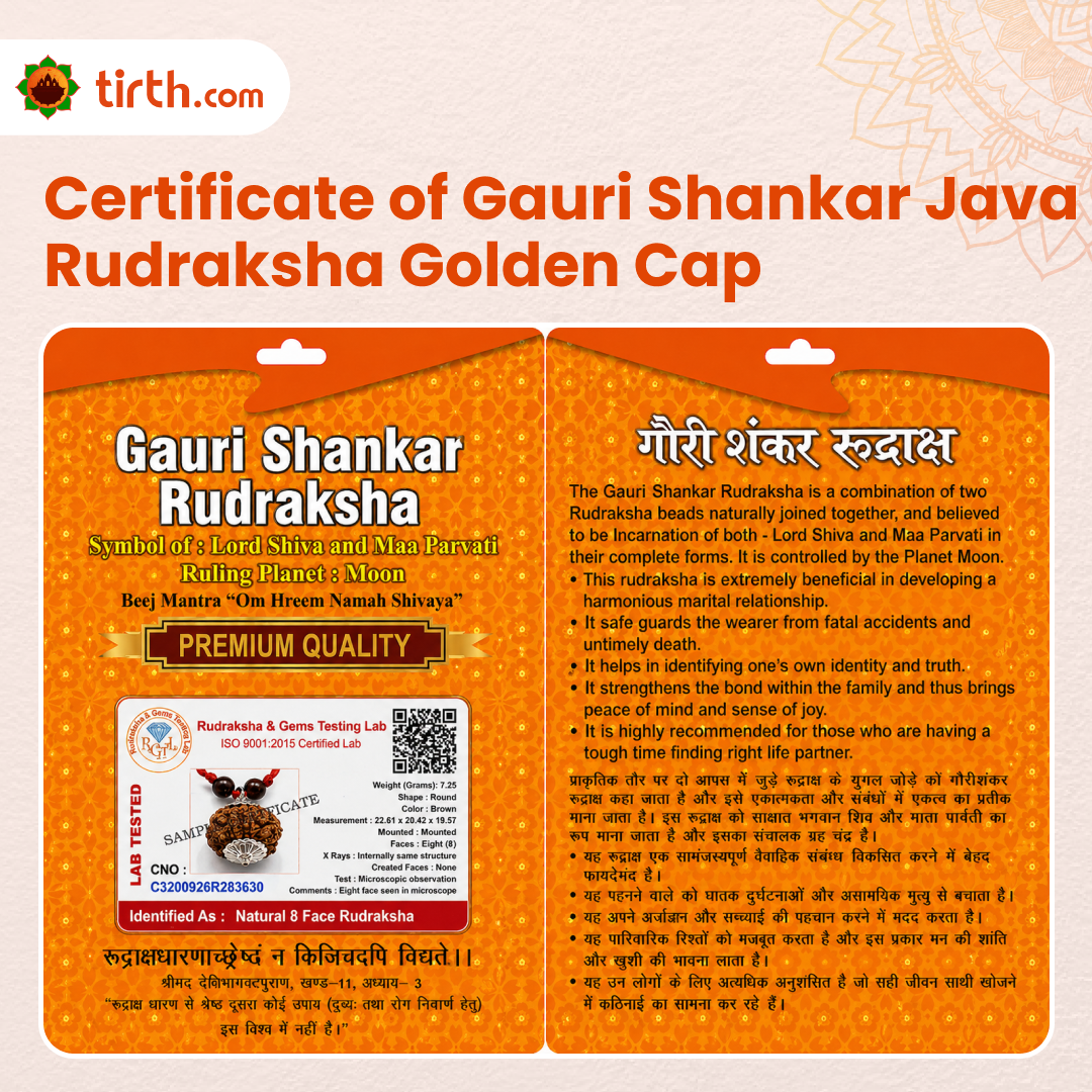 Original Gauri Shankar Rudraksha Java – Shiv Shakti Divine Union Bead (Without Cap / Golden Cap / White Cap)
