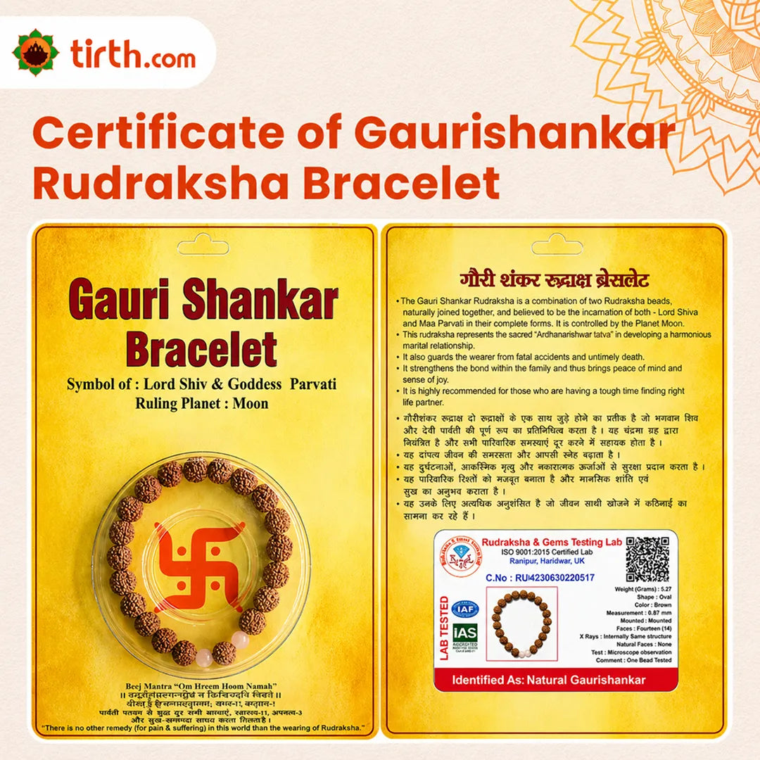 Gaurishankar Rudraksha Bracelet (Java 1 Bead) – Natural Shiva Parvati Rudraksha Wrist Bracelet for Harmony, Unity & Relationship Balance
