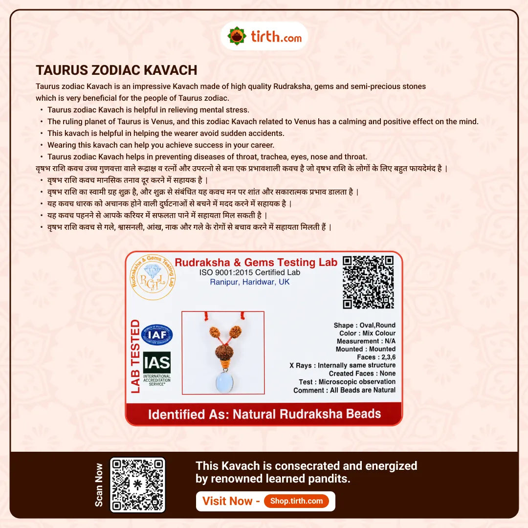 Taurus Rashi Kavach Mala – Vrishabh Rashi Rudraksha Kavach Mala (6, 13, 14 Mukhi) for Stability, Attraction & Decision Clarity