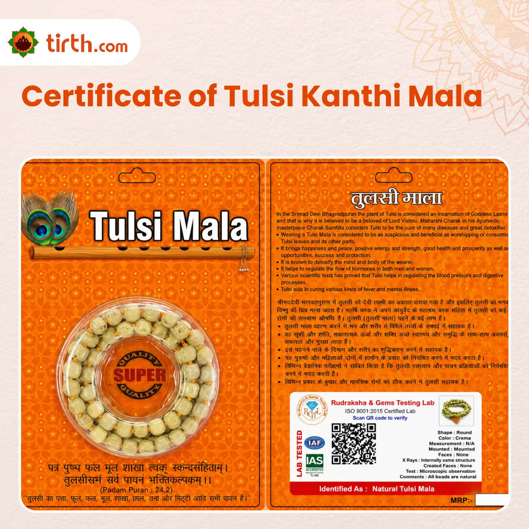 Natural Tulsi Kanthi Mala – Sacred Tulsi Neck Mala for Devotion, Purity & Divine Protection