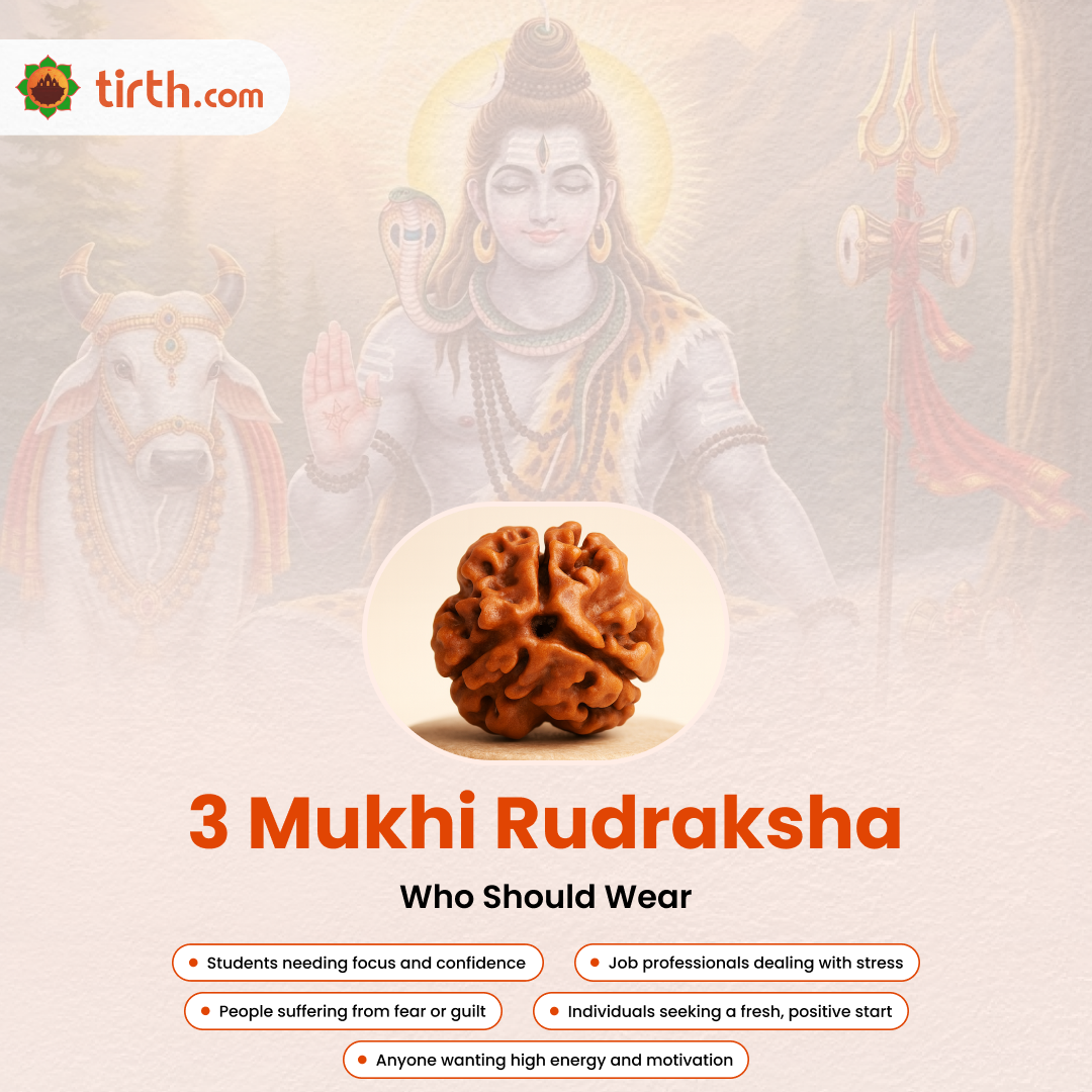Tirth 3 Mukhi Rudraksha – Karmic Cleansing, Confidence & Energy Boost | Agni Dev Sacred Bead