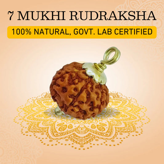 7 Mukhi Rudraksha