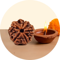 Siddh Rudraksha