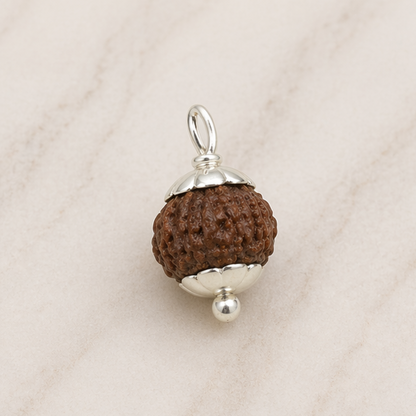 Original 10 Mukhi Rudraksha Java – Vishnu Divine Protection Bead (Without Cap / Golden Cap / White Cap)