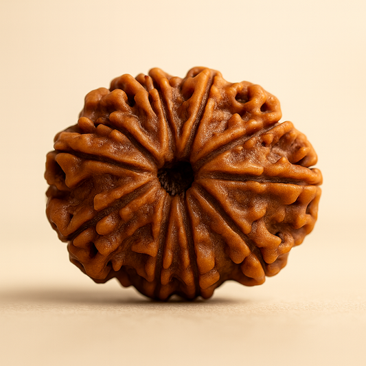 Tirth 10 Mukhi Rudraksha – Protection, Stability & Peace | Vishnu Energy Shield Bead