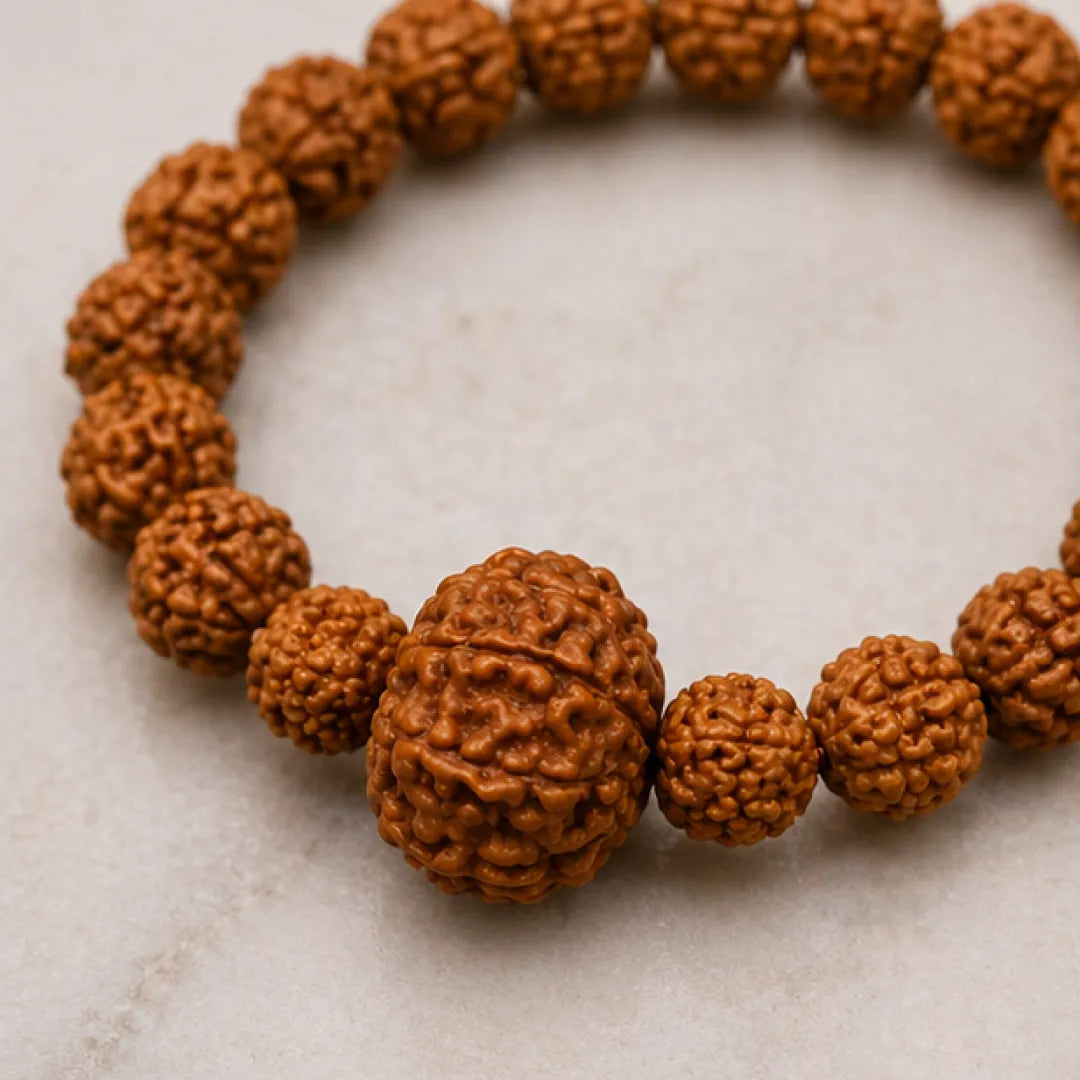 10 Mukhi Rudraksha Bracelet (Java 1pcs bead) – Protection Bracelet