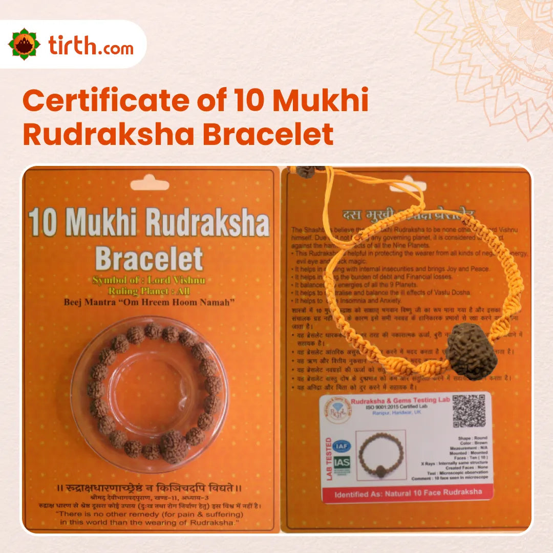 Original 10 Mukhi Rudraksha Bracelet (Java 1 Bead) – Natural 10 Face Rudraksha Wrist Bracelet for Protection, Stability & Spiritual Balance