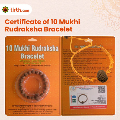 Original 10 Mukhi Rudraksha Bracelet (Java 1 Bead) – Natural 10 Face Rudraksha Wrist Bracelet for Protection, Stability & Spiritual Balance