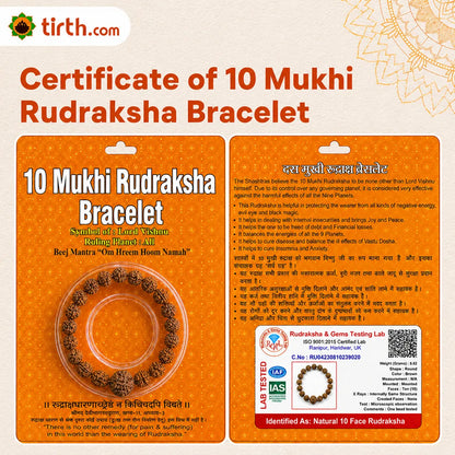 10 Mukhi Rudraksha Bracelet (Java 1 Bead) – Natural 10 Face Rudraksha Wrist Bracelet for Protection, Stability & Spiritual Balance