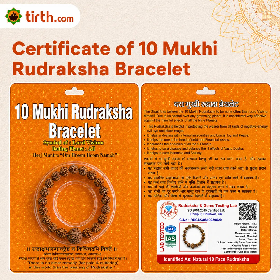 10 Mukhi Rudraksha Bracelet (Java 1pcs bead) – Protection Bracelet