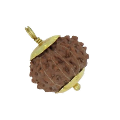 Original 11 Mukhi Rudraksha Java – Hanuman Strength & Courage Bead (Without Cap / Golden Cap / White Cap)