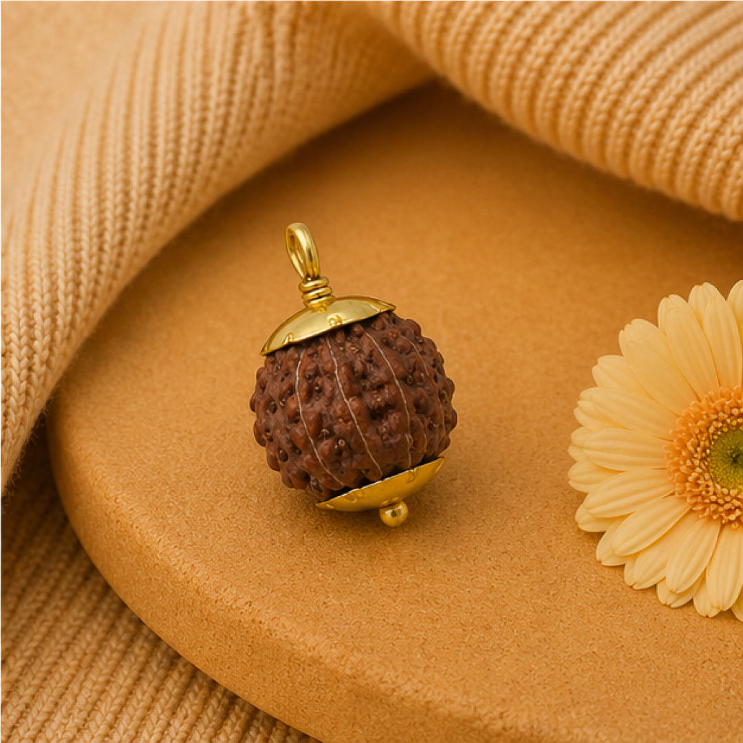 Original 11 Mukhi Rudraksha Java – Hanuman Strength & Courage Bead (Without Cap / Golden Cap / White Cap)