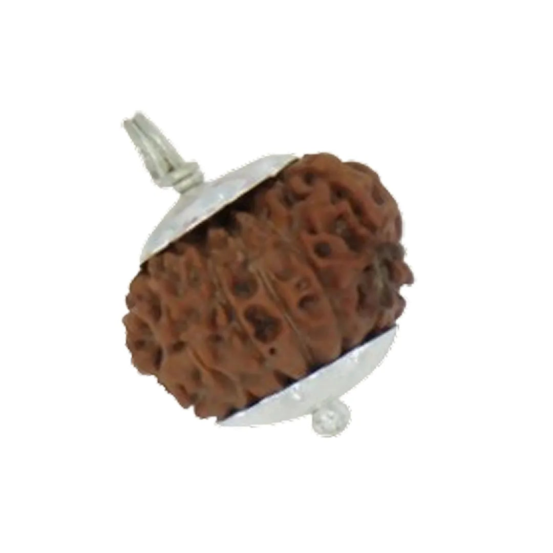 Original 11 Mukhi Rudraksha Java – Hanuman Strength & Courage Bead (Without Cap / Golden Cap / White Cap)