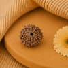 Original 11 Mukhi Rudraksha Java – Hanuman Strength & Courage Bead (Without Cap / Golden Cap / White Cap)