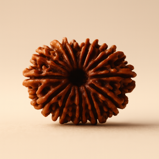 Tirth 11 Mukhi Rudraksha – Hanuman Blessing Rudraksha for Strength & Courage