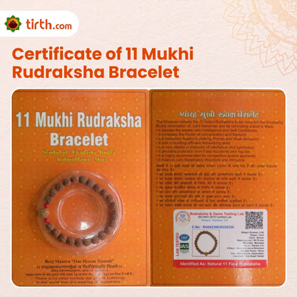 Original 11 Mukhi Rudraksha Bracelet (Java 1 Bead) – Natural 11 Face Rudraksha Wrist Bracelet for Courage, Spiritual Power & Focus