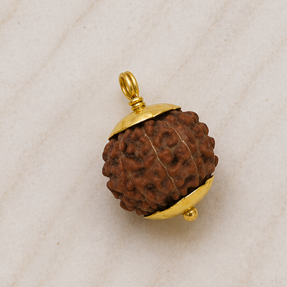Original 12 Mukhi Rudraksha Java – Surya Authority & Radiance Bead (Without Cap / Golden Cap / White Cap)