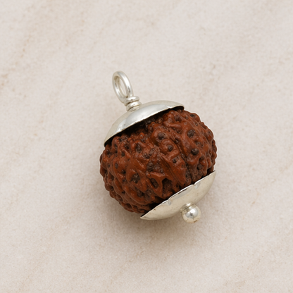 Original 12 Mukhi Rudraksha Java – Surya Authority & Radiance Bead (Without Cap / Golden Cap / White Cap)