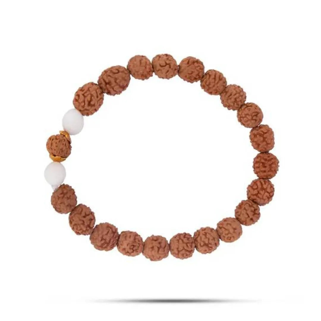 12 Mukhi Rudraksha Bracelet (Java 1pcs bead) – Authority Bracelet
