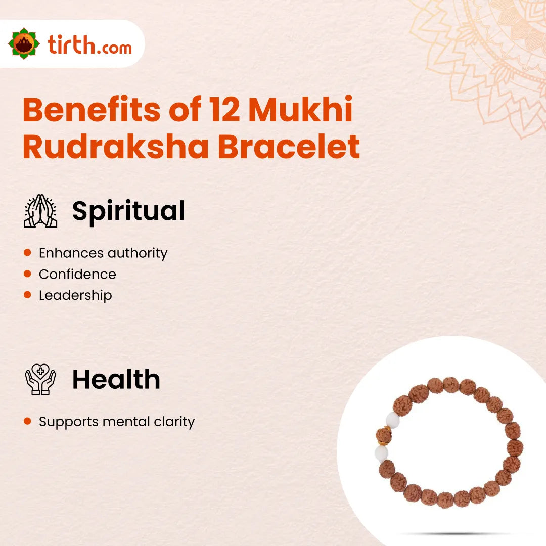 12 Mukhi Rudraksha Bracelet (Java 1pcs bead) – Authority Bracelet