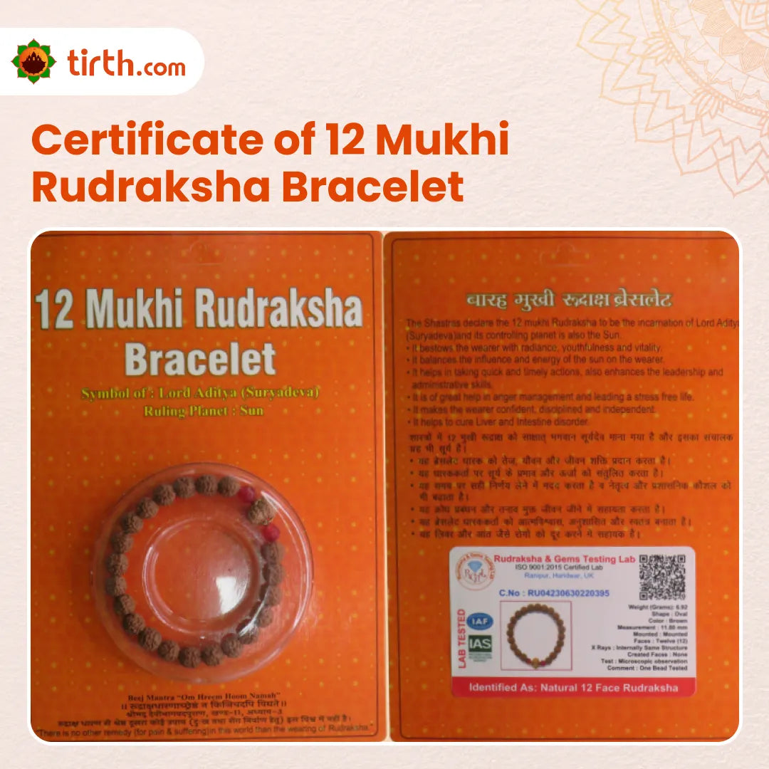 Original 12 Mukhi Rudraksha Bracelet (Java 1 Bead) – Natural 12 Face Rudraksha Wrist Bracelet for Leadership, Confidence & Solar Energy
