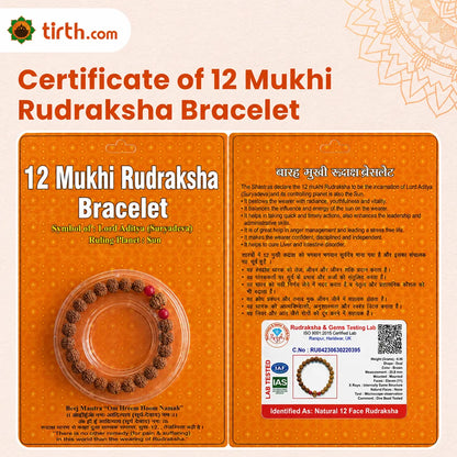 12 Mukhi Rudraksha Bracelet (Java 1 Bead) – Natural 12 Face Rudraksha Wrist Bracelet for Leadership, Confidence & Solar Energy