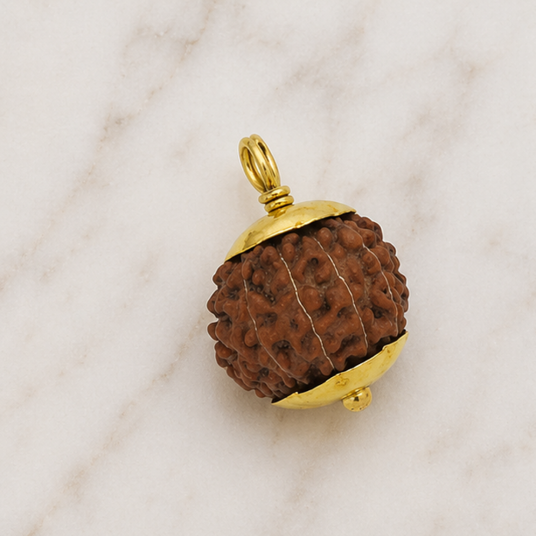 Original 13 Mukhi Rudraksha Java – Attraction & Manifestation Bead (Without Cap / Golden Cap / White Cap)