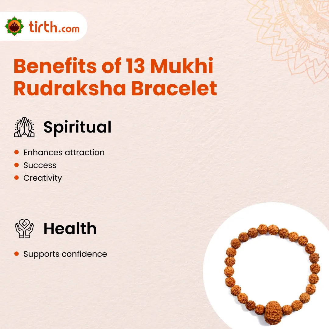 13 Mukhi Rudraksha Bracelet (Java 1pcs bead) – Attraction & Success Bracelet
