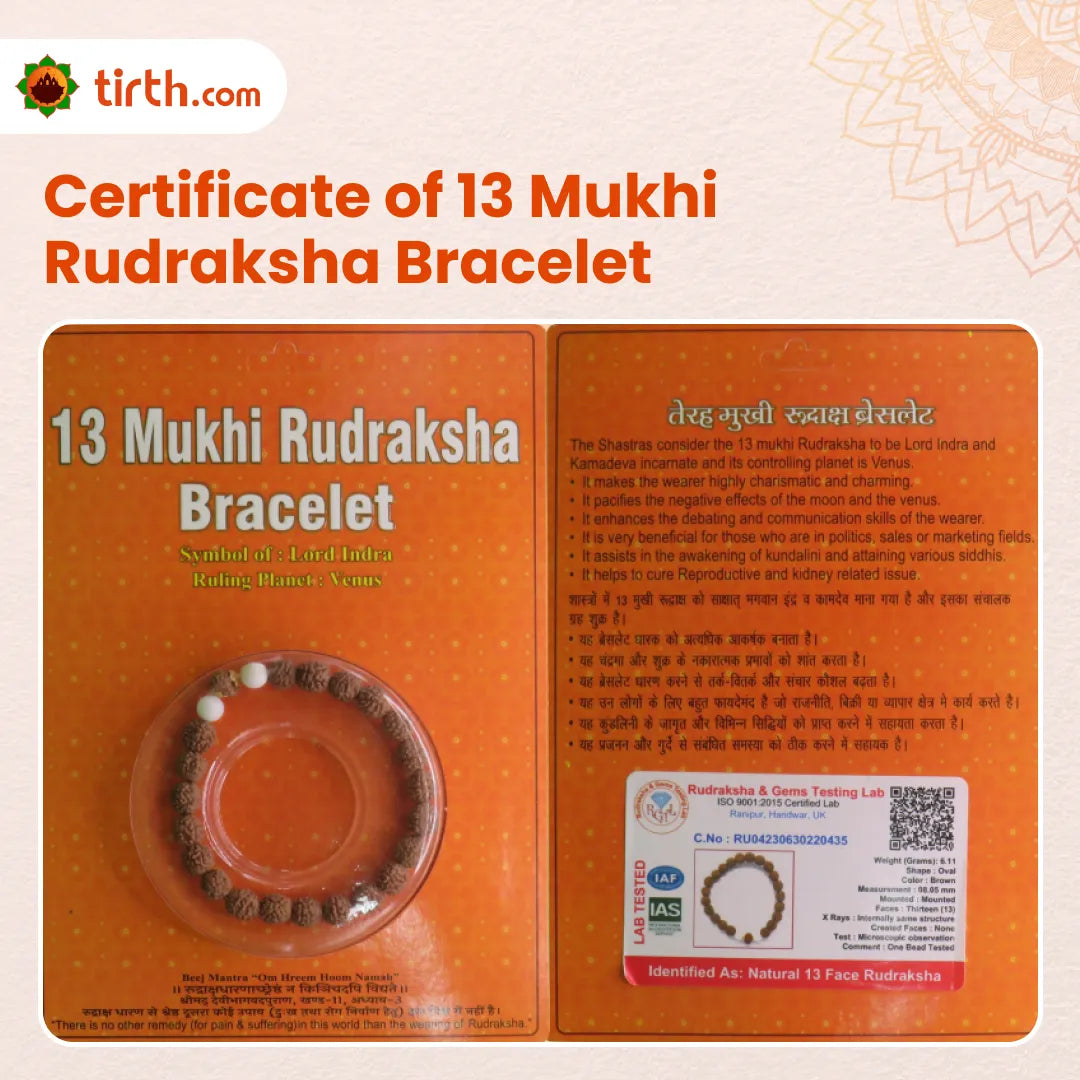Original 13 Mukhi Rudraksha Bracelet (Java 1 Bead) – Natural 13 Face Rudraksha Wrist Bracelet for Attraction, Confidence & Creative Energy