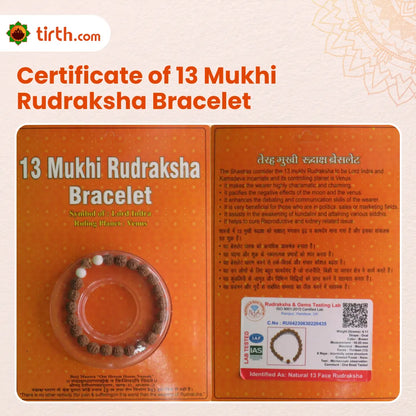 Original 13 Mukhi Rudraksha Bracelet (Java 1 Bead) – Natural 13 Face Rudraksha Wrist Bracelet for Attraction, Confidence & Creative Energy