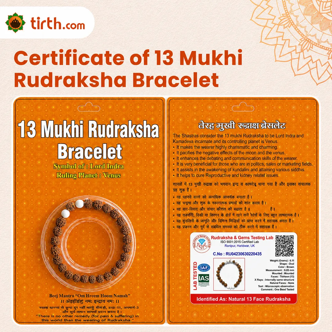 13 Mukhi Rudraksha Bracelet (Java 1 Bead) – Natural 13 Face Rudraksha Wrist Bracelet for Attraction, Confidence & Creative Energy