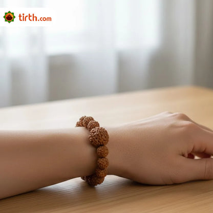 13 Mukhi Rudraksha Bracelet (Java 1pcs bead) – Attraction & Success Bracelet