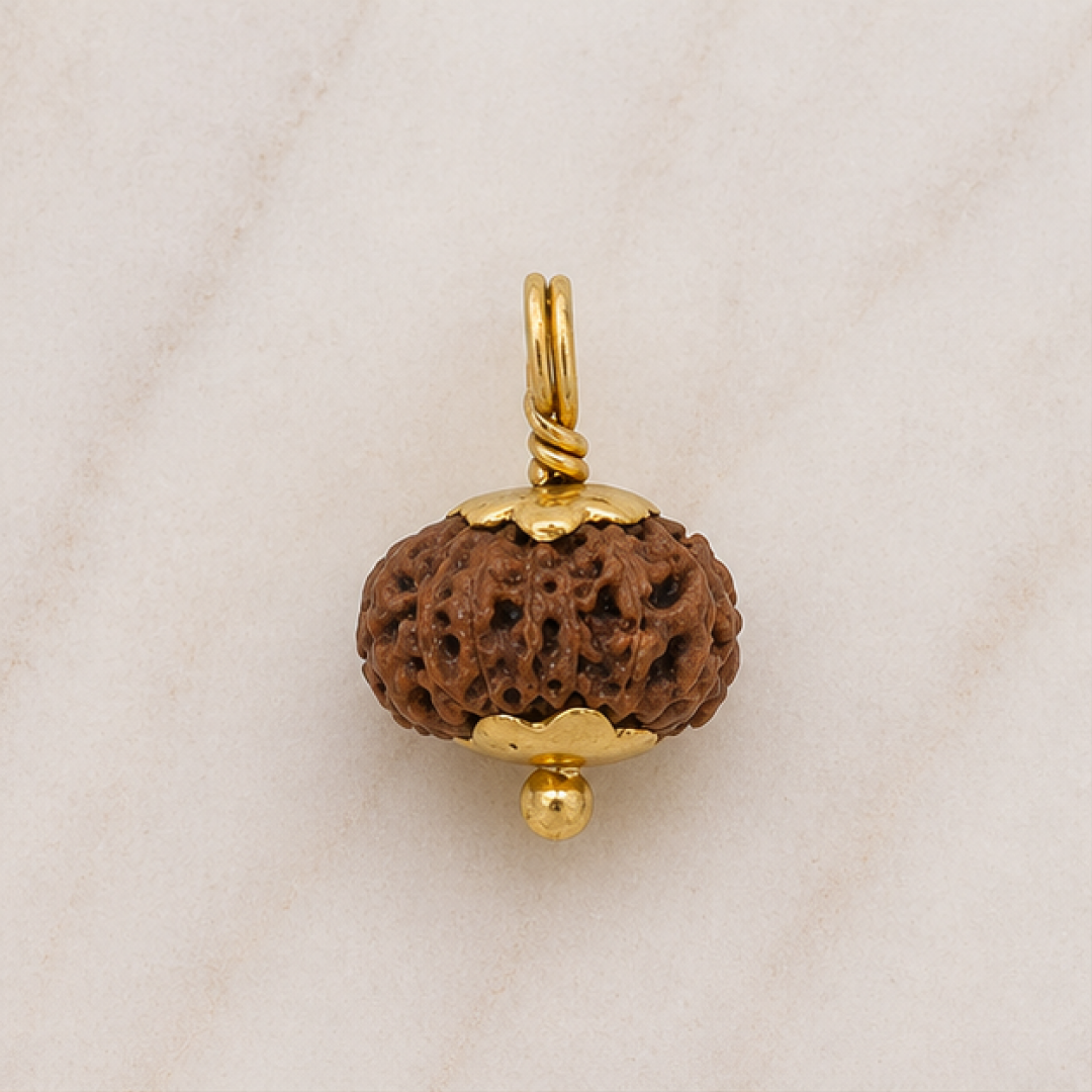 Original 14 Mukhi Rudraksha Java – Devmani Intuition & Divine Protection Bead (Without Cap / Golden Cap / White Cap)