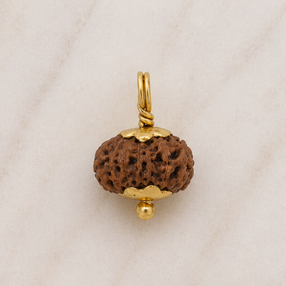 Original 14 Mukhi Rudraksha Java – Devmani Intuition & Divine Protection Bead (Without Cap / Golden Cap / White Cap)